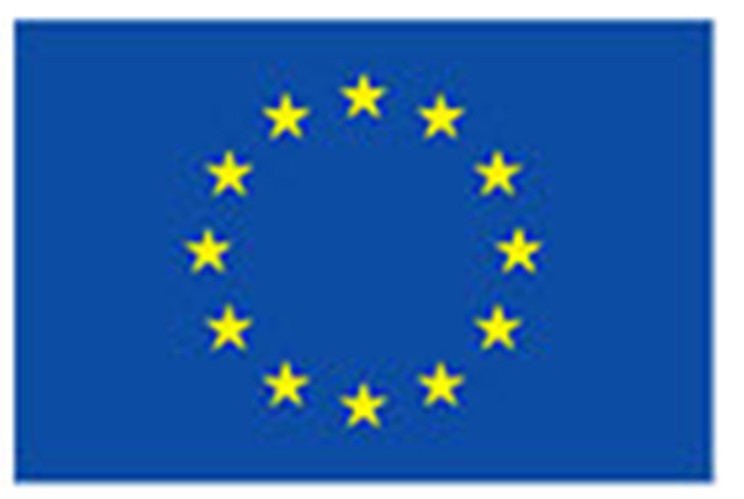 Erasmus Logo
